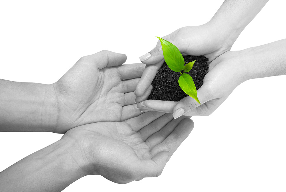 数字化转型必备的在线轰炸机网页版